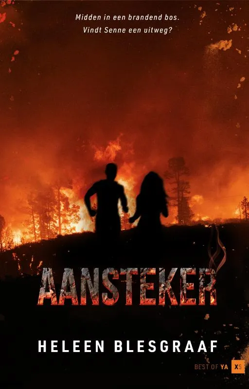 Aansteker | 9789000399093 Aansteker