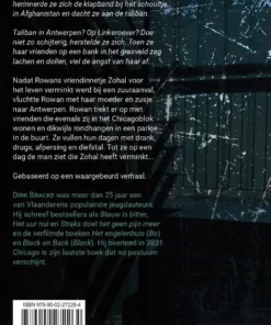 Alternative view of Chicago