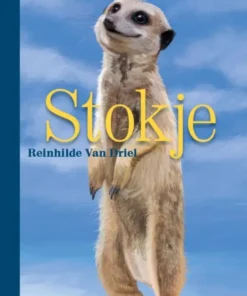Stokje