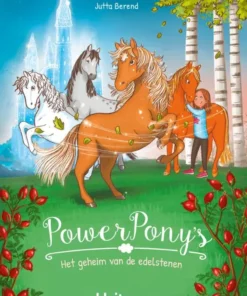 Het geheim van de edelstenen