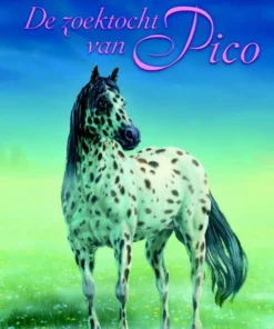 De zoektocht van Pico