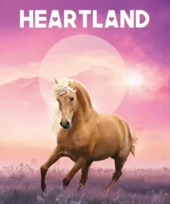 Een nieuwe kans & Kiezen