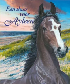 Een thuis voor Ayleen