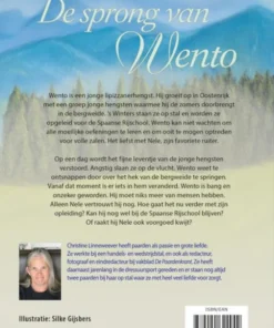 Alternative view of De sprong van Wento