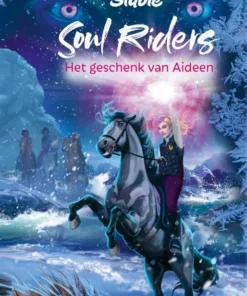 Het geschenk van Aideen