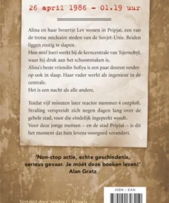 Alternative view of De ramp van Tsjernobyl