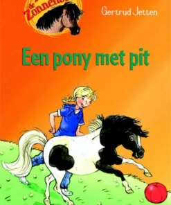 Een pony met pit