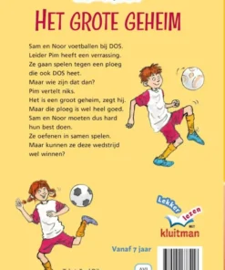 Alternative view of Het grote geheim