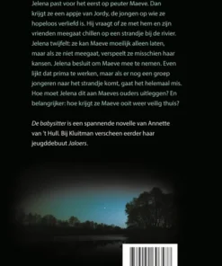 Alternative view of De babysitter