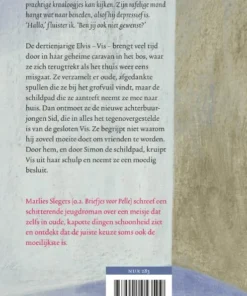 Alternative view of Schildpadmeisje