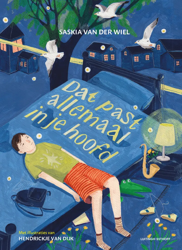 Dat past allemaal in je hoofd | 9789021064758 Dat past allemaal in je hoofd