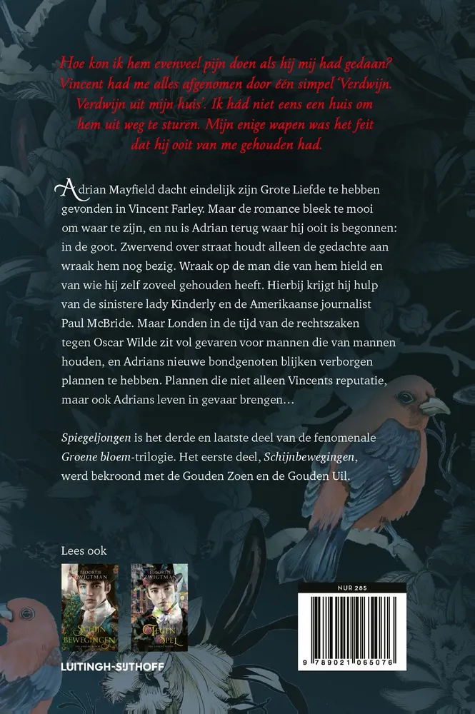 Spiegeljongen | 9789021065076 Spiegeljongen - Afbeelding 2