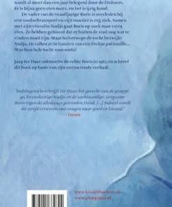 Alternative view of Boris