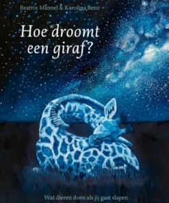 Hoe droomt een giraf?