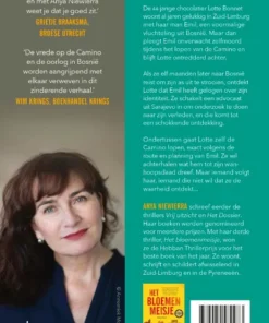 Alternative view of De Camino