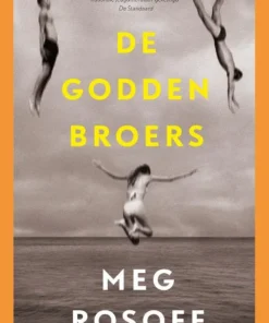 De Godden broers