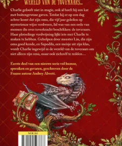 De leerling-toveraar | 9789024593866