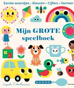 Mijn grote speelboek