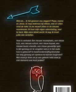 Geheimen passen niet in een verhuisdoos | 9789025876715