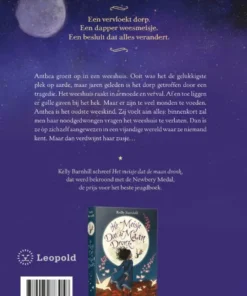 Alternative view of Het meisje dat naar de sterren luisterde