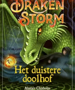 Het duistere doolhof