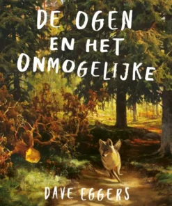 De ogen en het onmogelijke