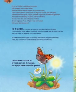 Alternative view of Flie de vlinder