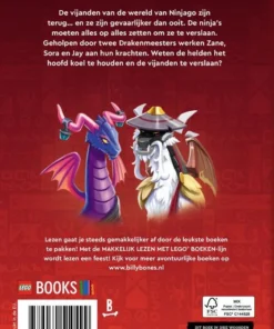 Alternative view of Coole krachten