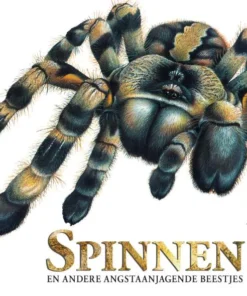 Spinnen en andere angstaanjagende beestjes