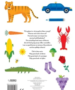 Mijn grote boek vol kleuren | 9789036644976