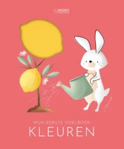 Mijn eerste voelboek