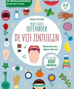 Mijn leukste oefenboek de vijf zintuigen