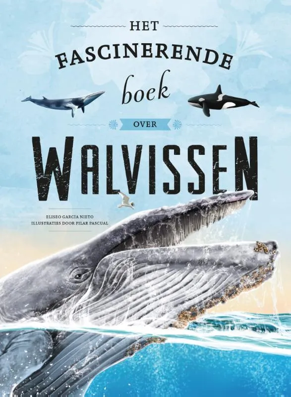 Rapunsel kinderboeken |