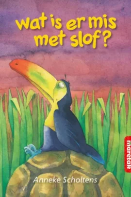Wat is er mis met Slof?
