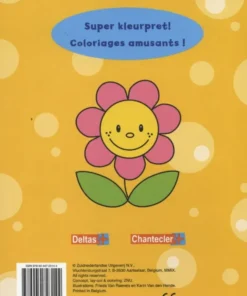 Alternative view of Crazy color, 3-4 ans