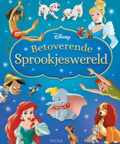 Disney betoverende sprookjeswereld