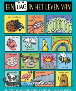 Een dag in het leven van...