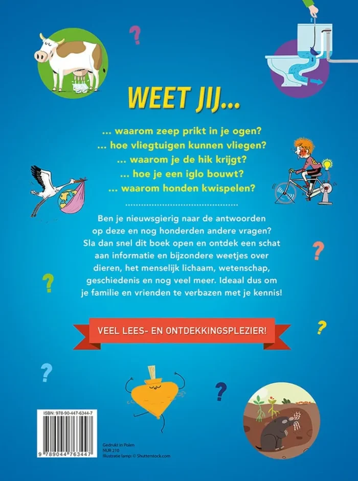 Hoe? Wat? Waarom? - Afbeelding 2