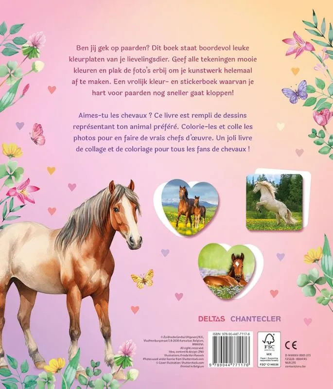 Dream Horses Sticker Parade - Met herbruikbare stickers | 9789044771176 Dream Horses Sticker Parade - Met herbruikbare stickers - Afbeelding 2