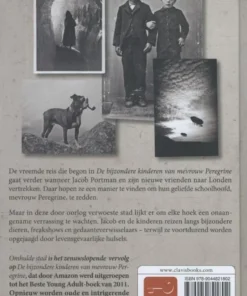 Alternative view of Omhulde stad