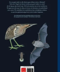 Uil, vos en vleermuis | 9789044828351