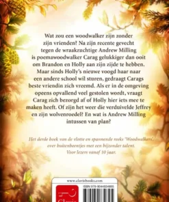 Alternative view of Het geheim