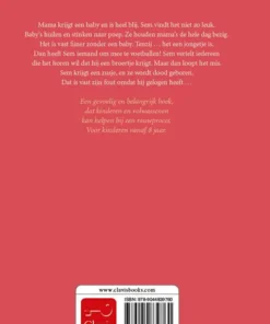 Alternative view of De rode ballon