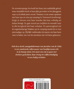 Alternative view of Steen voor steen