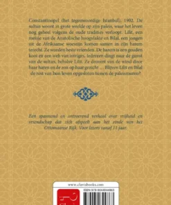 Alternative view of De voorlezer van de sultan