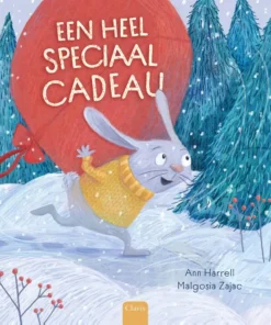 Een heel speciaal cadeau