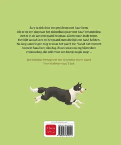 Alternative view of Sara en het paard