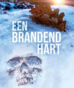 Een brandend hart