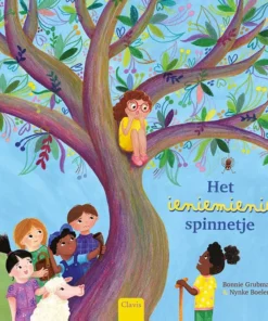 Het ieniemieniespinnetje