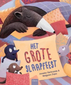 Het grote slaapfeest